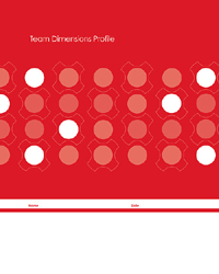 Team Dimensions Profile