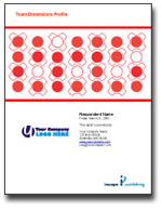 Team Dimensions Profile&reg; (online version) 