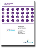 Time Mastery Profile&reg; (online version)